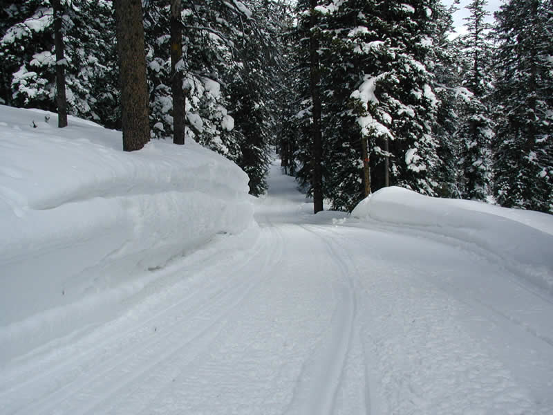 Snowmobile Trails in Vilas County