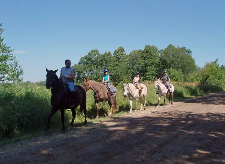 Horseback Riding on Country Road